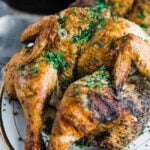 roasted spatchcock chicken with herbs