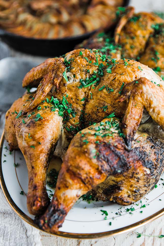 roasted spatchcock chicken with herbs