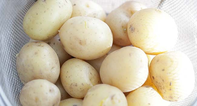 boiled potatoes cooling