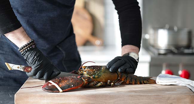 slicing through a lobster head