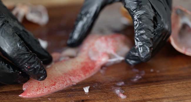 removing claw meat from a lobster