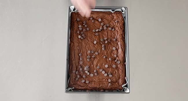 adding chocolate chips to brownies