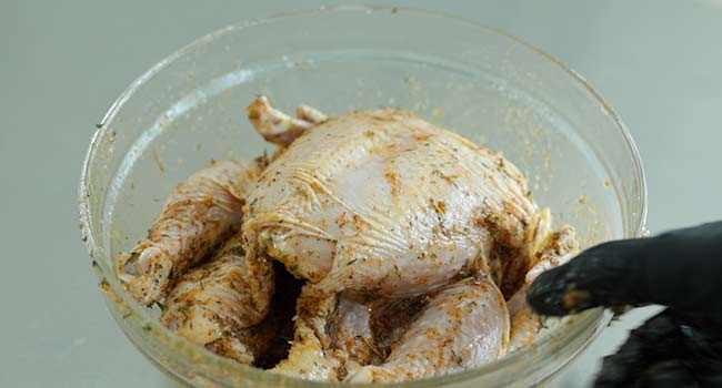 rubbing a chicken with seasonings