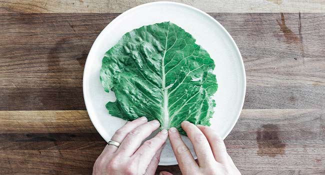 adding a leaf of lettuce onto a plate