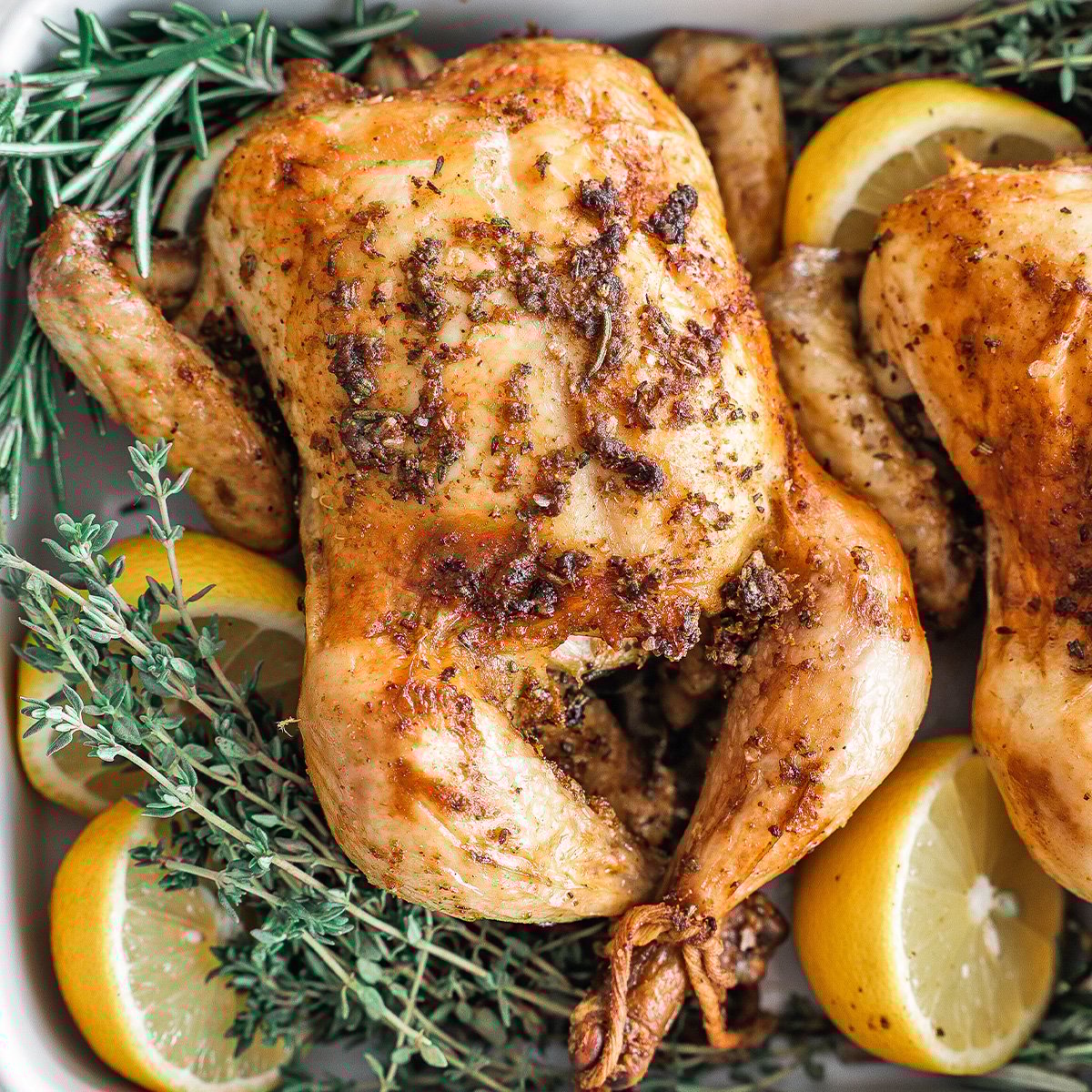 Cornish Hen Recipe-image
