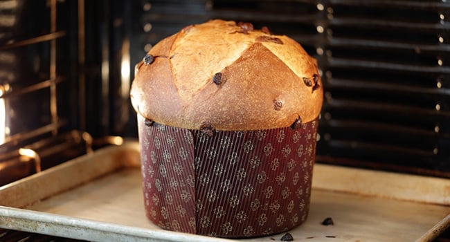 baking panettone