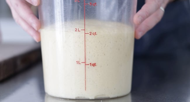 proofed dough in a container