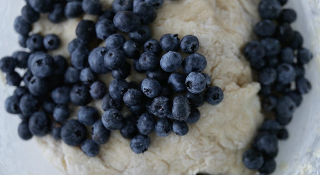 fold the blueberries into the dough