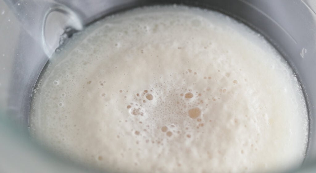 whisk the warm water, yeast, and half of the sugar in the bowl