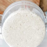 Biga in a container