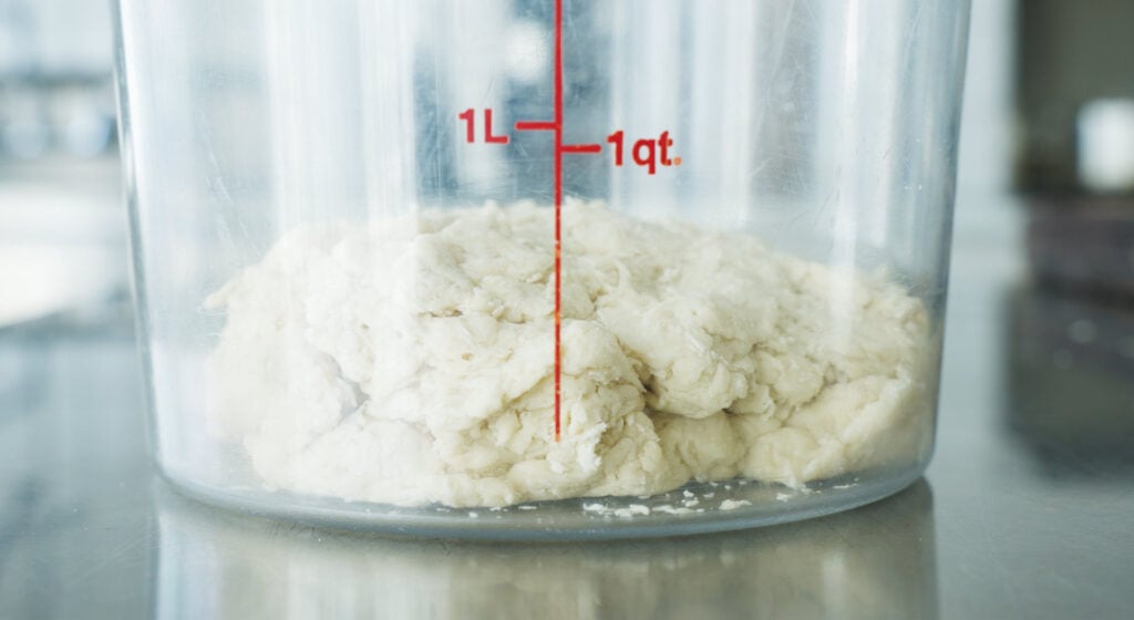 dough resting in container