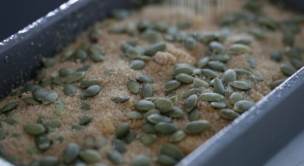 pepitas and brown sugar topping over pumpkin bread batter