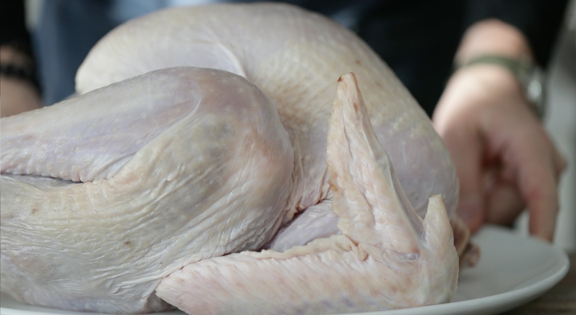 patting dry a raw turkey