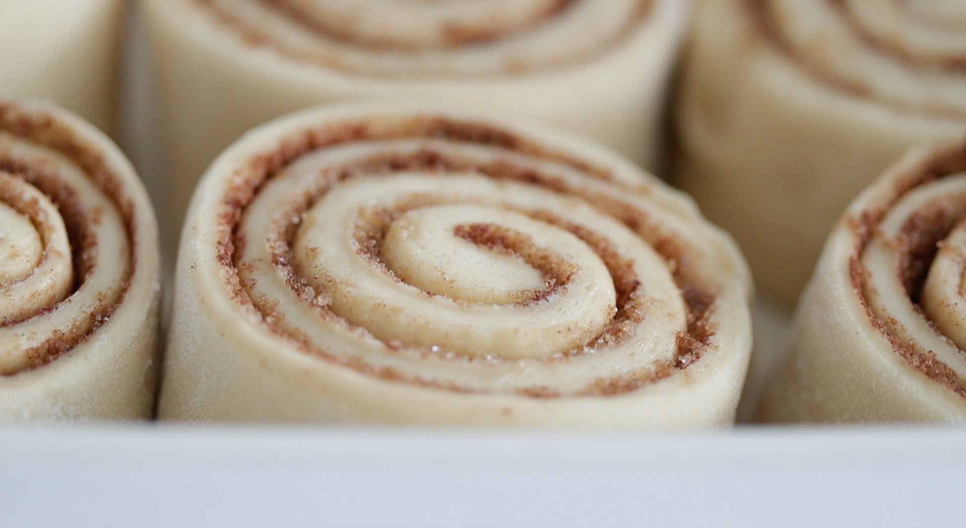rising cinnamon rolls