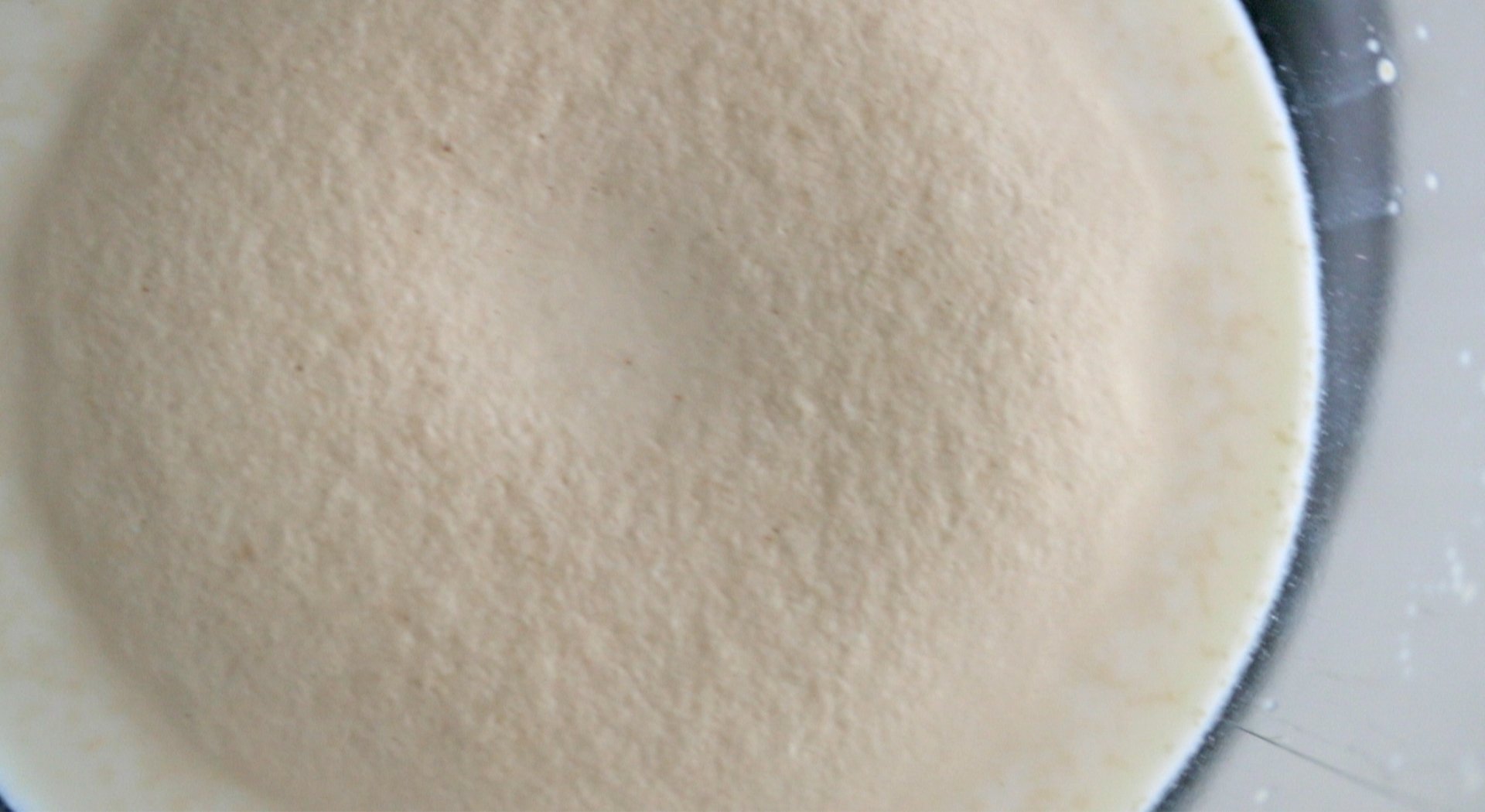 yeast raft in a stand mixer