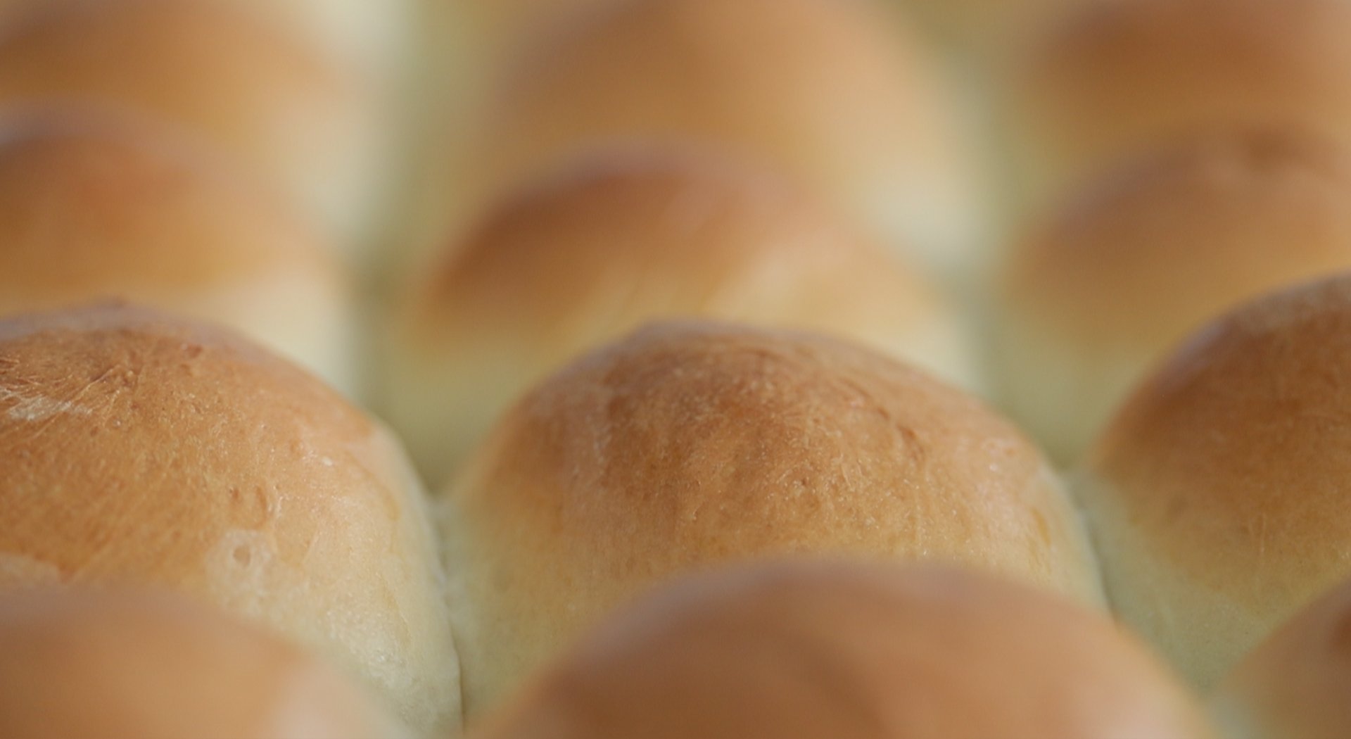 baked dinner rolls