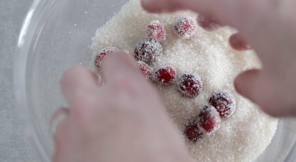 coated cranberries in a bowl of sugar