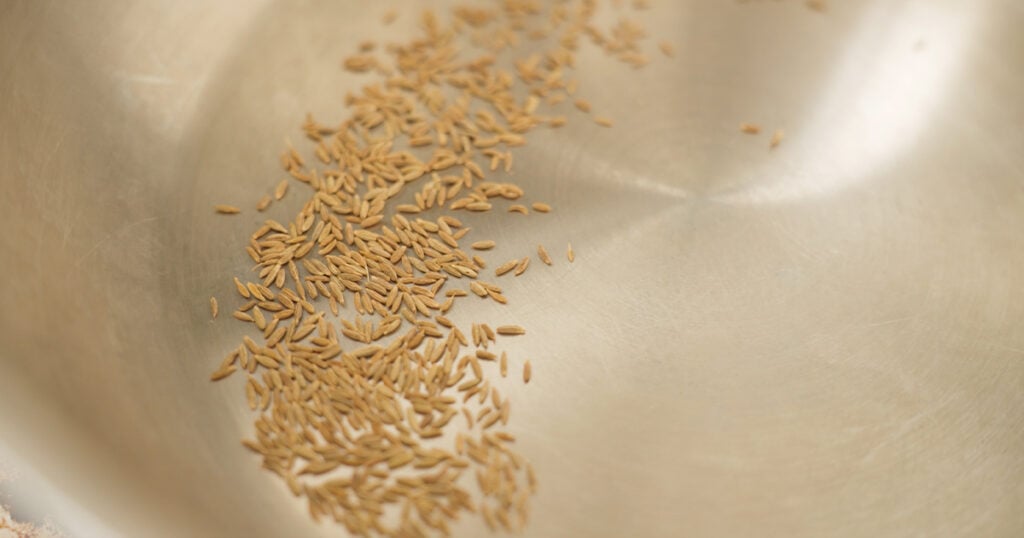 Close up of seeds in a pan