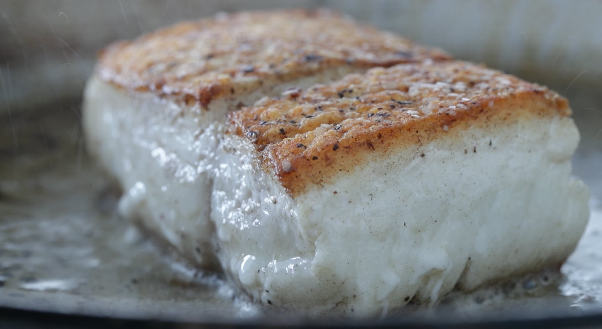 pan seared halibut