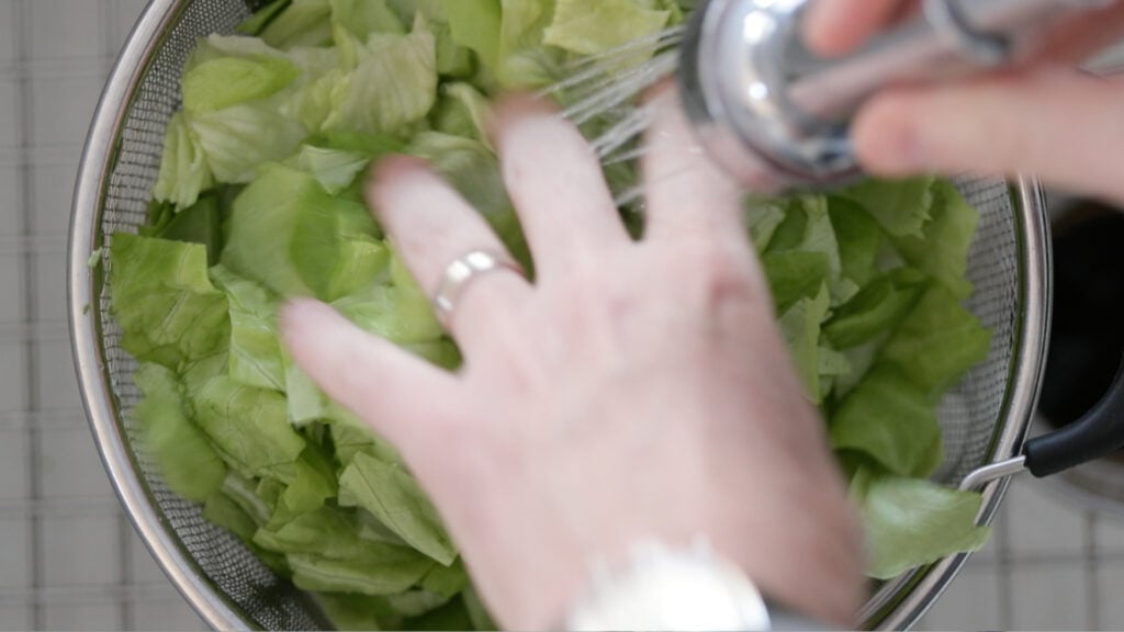 washing lettuce in the sink
