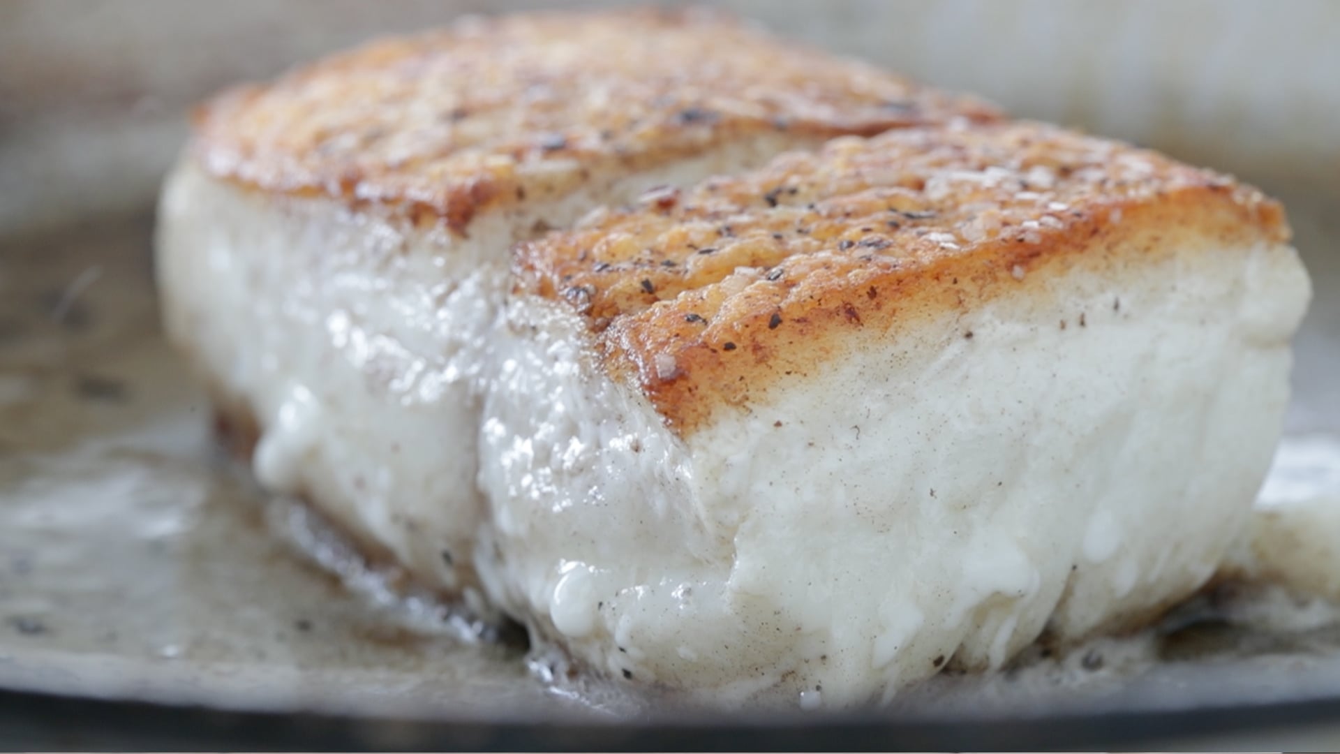 pan seared halibut