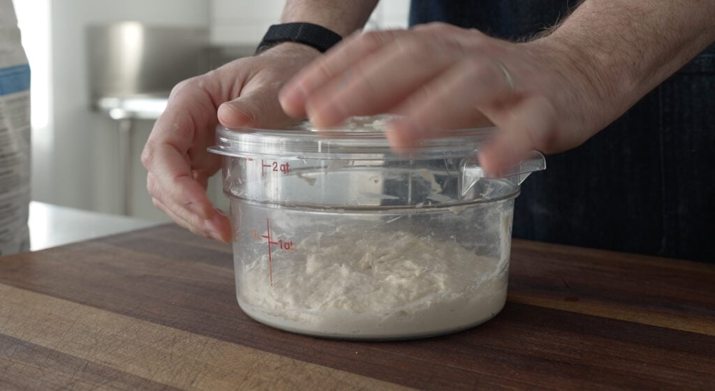 Poolish in a covered container