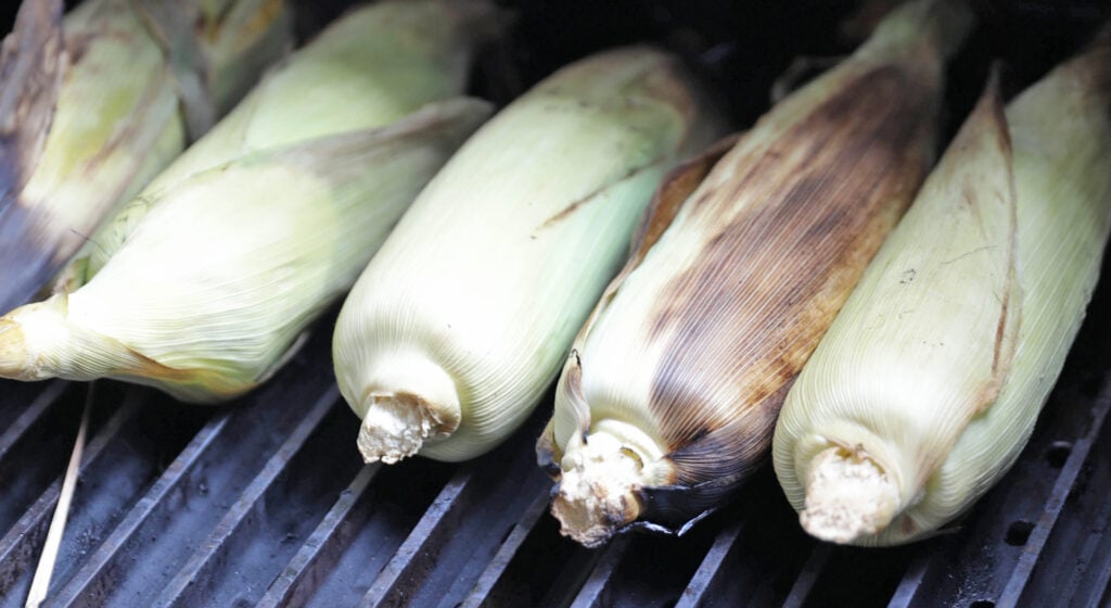 grilling the corn with the husks