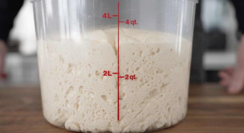 dough in a plastic container with measurements on the side