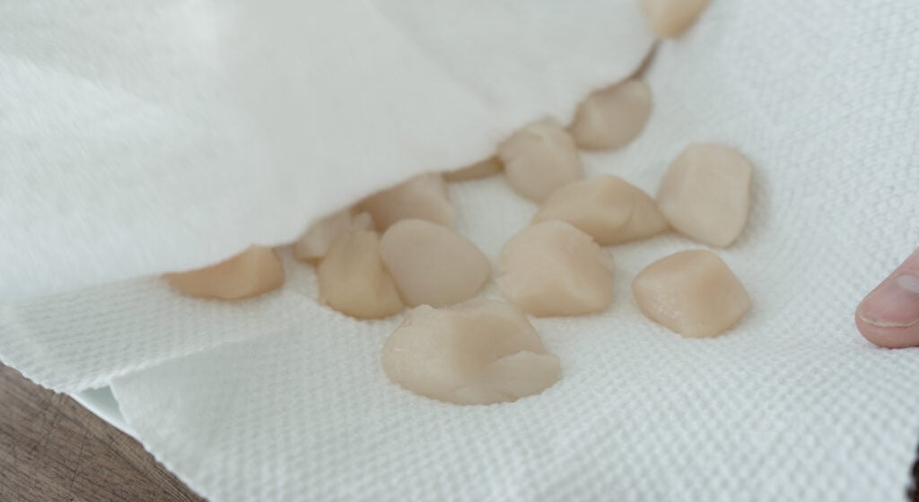 Scallops drying on a towel