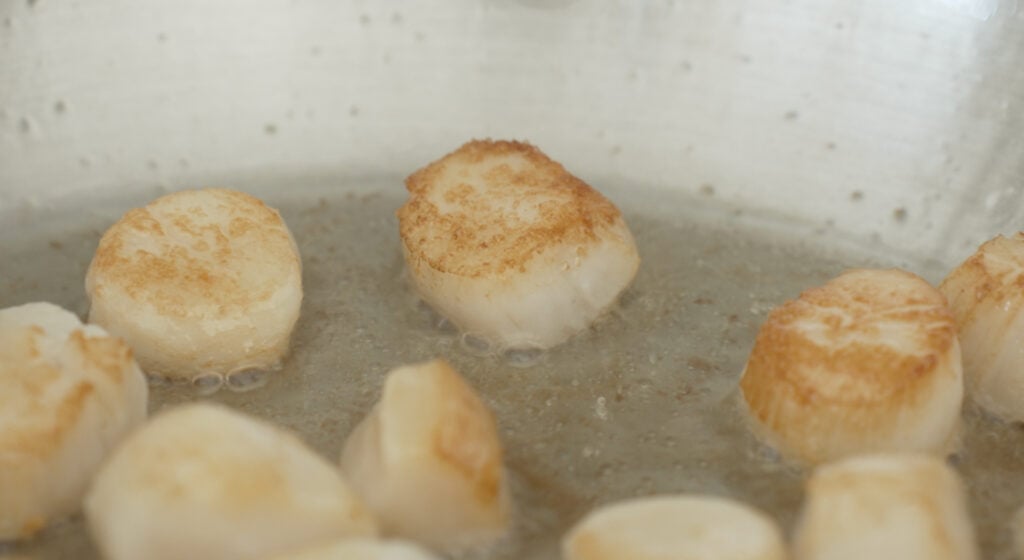 browned sea scallops