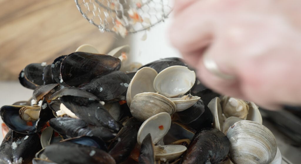 close up of clams and mussels opened