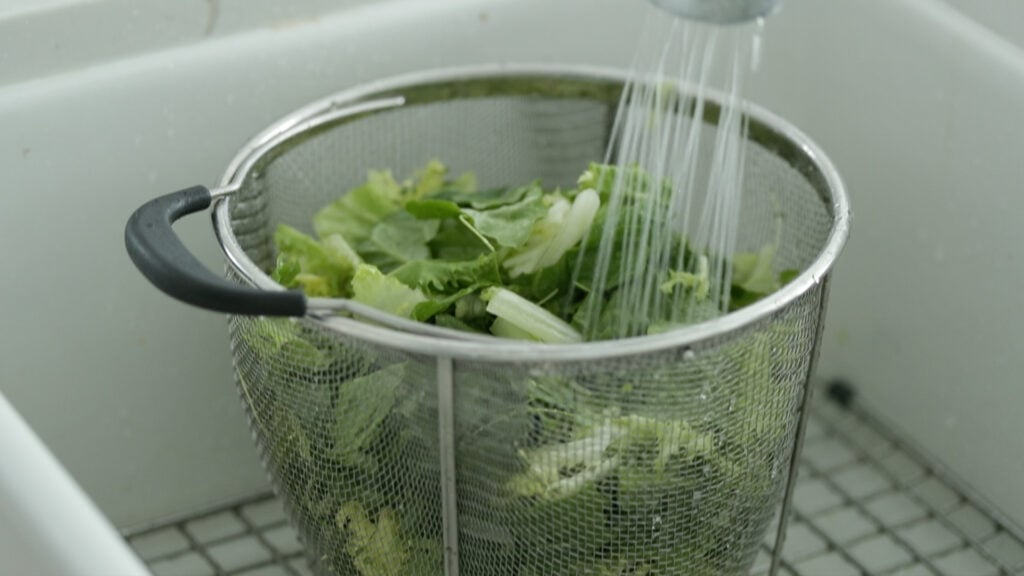 washing lettuce in a colander