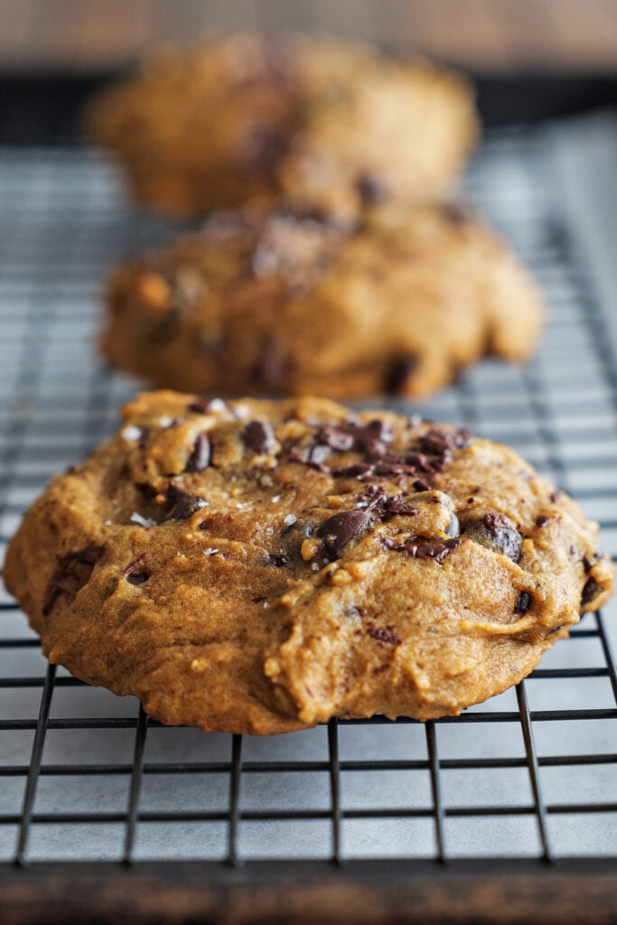 Pumpkin chocolate chip cookies on a tray