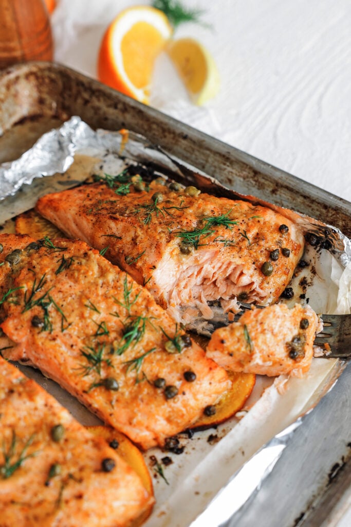 a forkful of baked salmon fillets topped with fresh dill