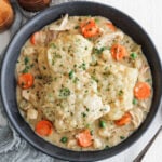 Chicken and Dumplings served on a plate