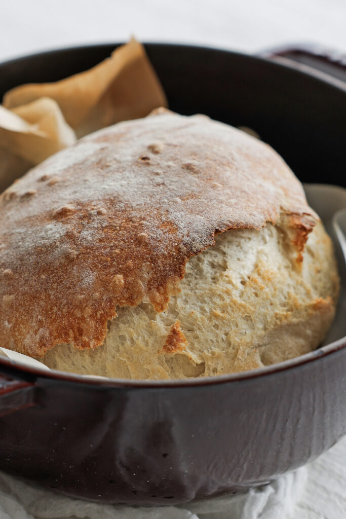 Crusty homemade dutch oven bread showing a golden crackly crust and tender closed crumb
