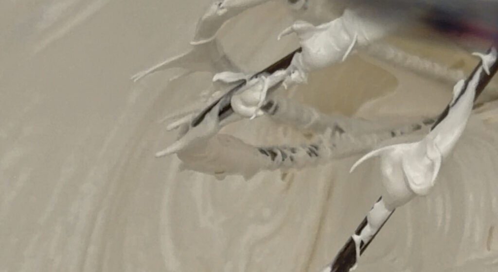 meringue